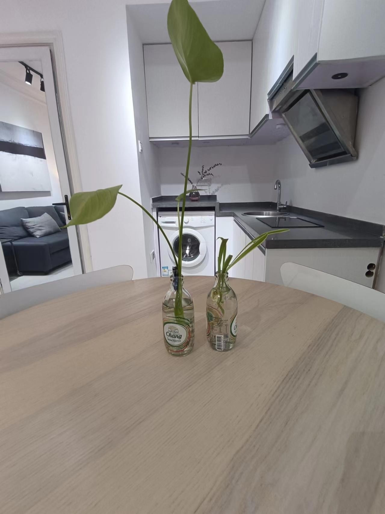 663872c0634a195a5181cbe1ca92ca94