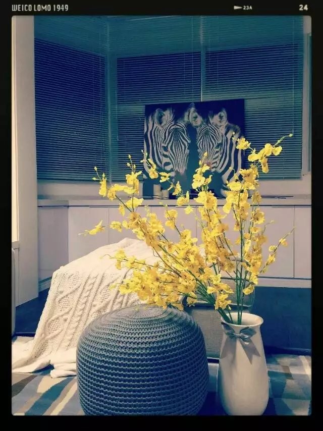 8ae154130b18b8e99b56506a307c7b7d