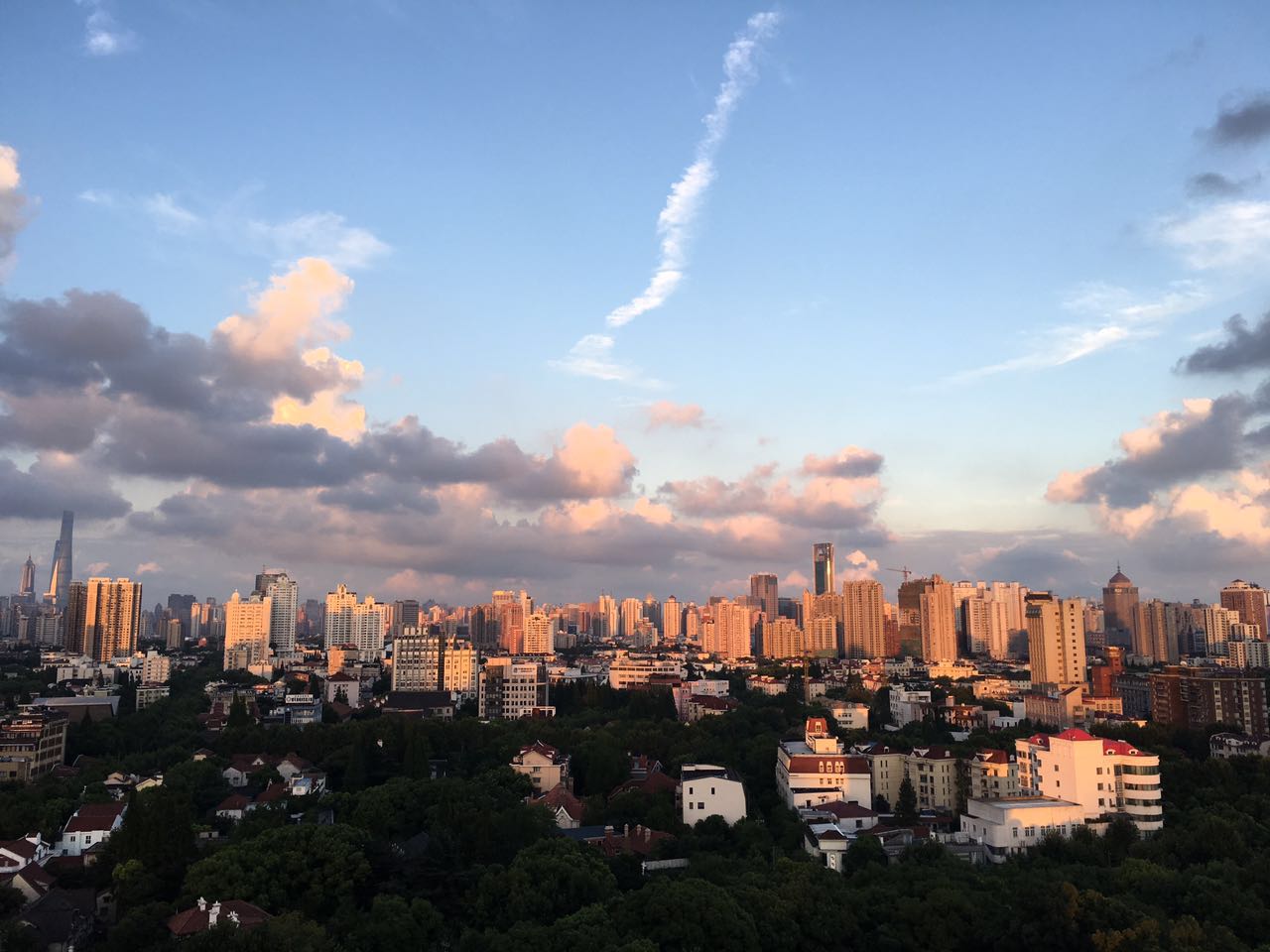 ambassy-court-19582-BG3PuB