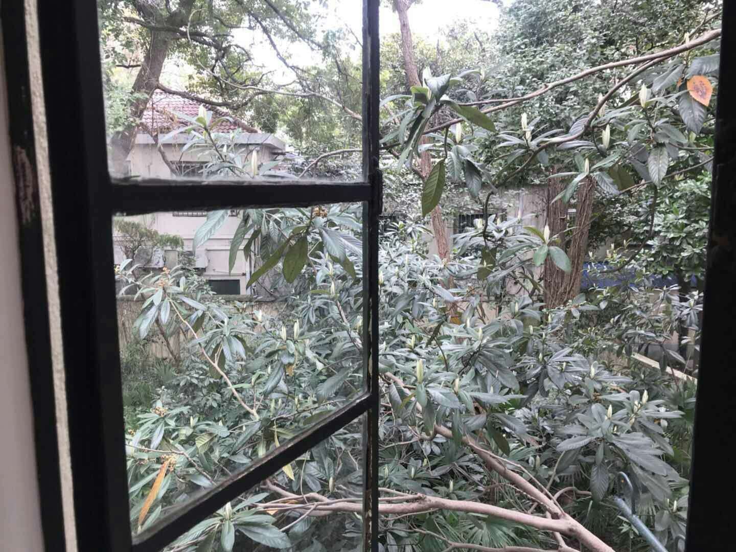 b317636024df47389814189786610612