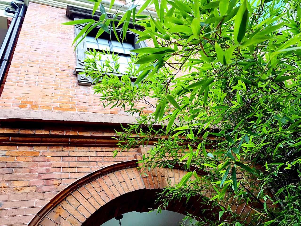 ff5496fc-c9d1-4cd6-9848-45dffcb02989