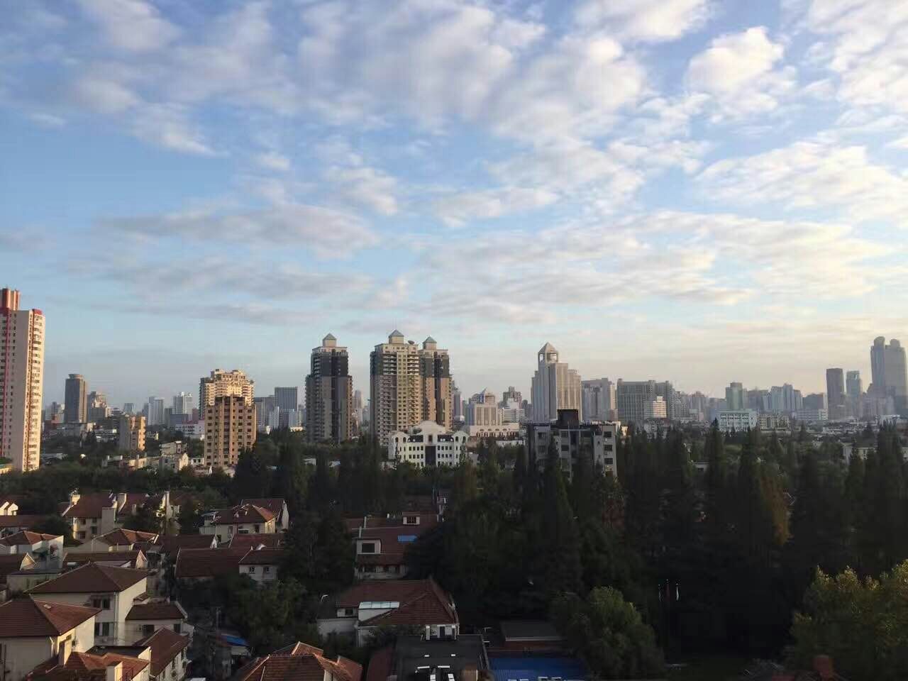 kingsville-20141-n7I2pH