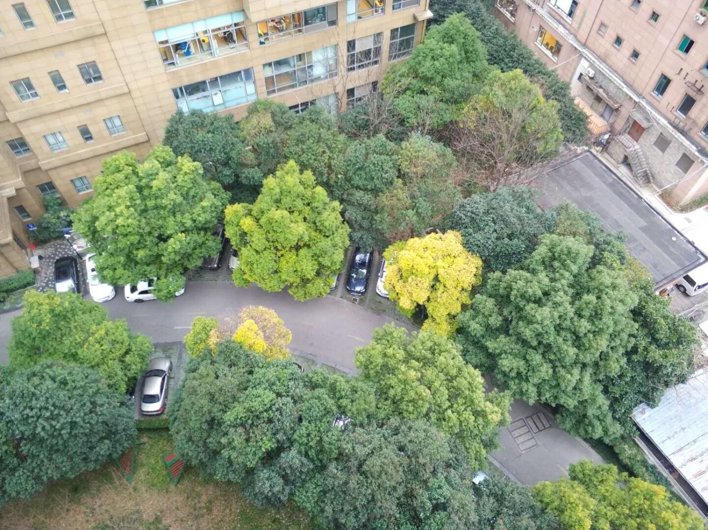 shanghai-dynasty-20601-0UbaeI