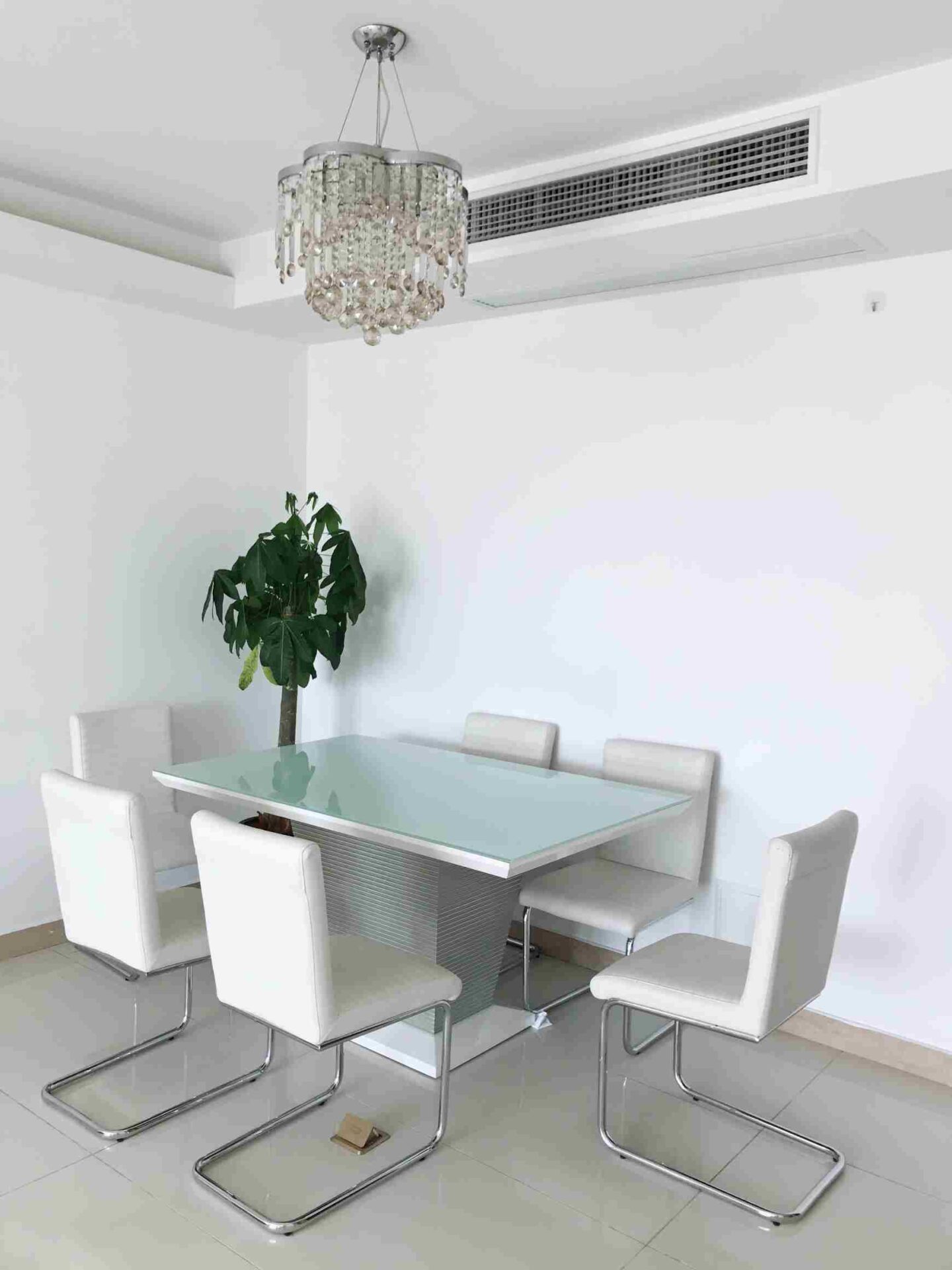 shanghai-dynasty-20613-KOqzja